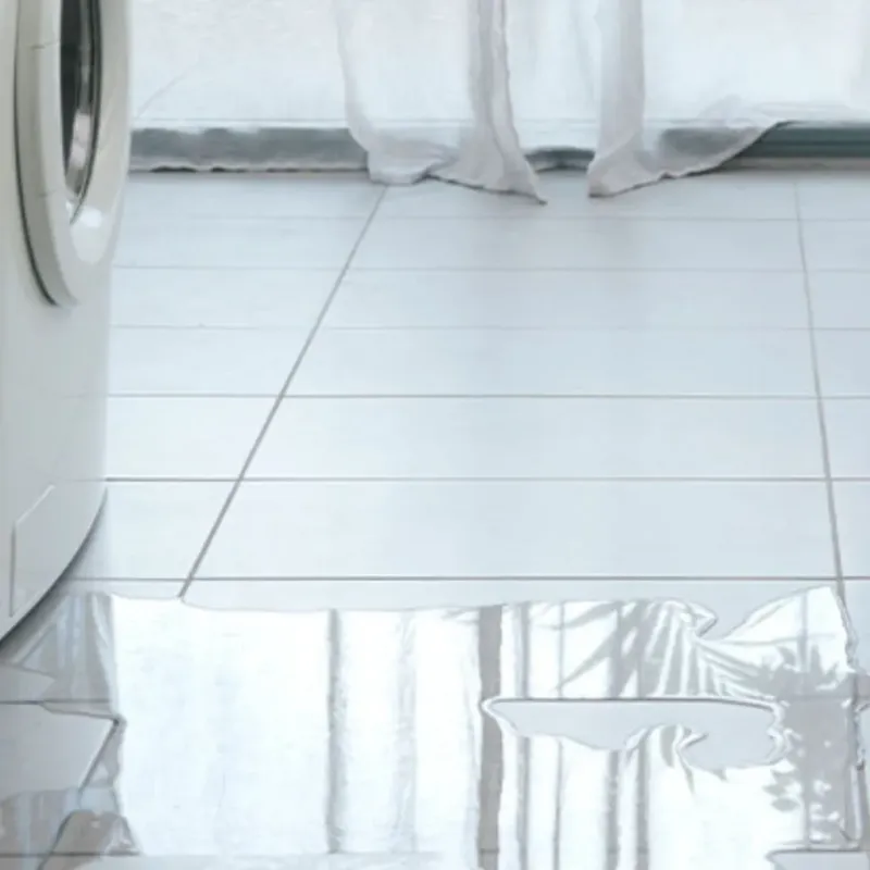 Appliance Leak Cleanup in Chickasaw, AL