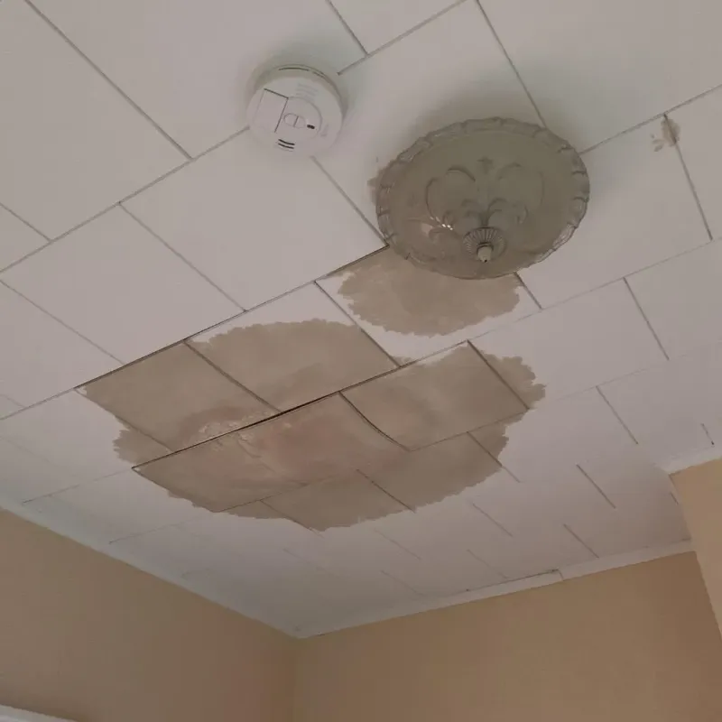 Ceiling Water Damage Repair in Chickasaw, AL
