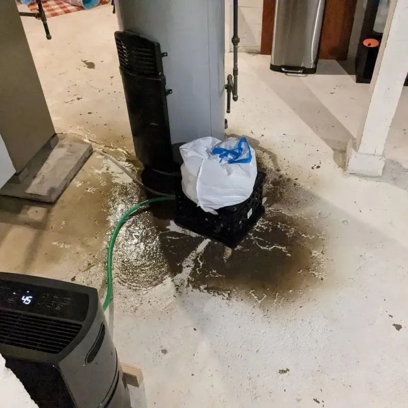 Sewage Backup Cleanup Service in Chickasaw, AL